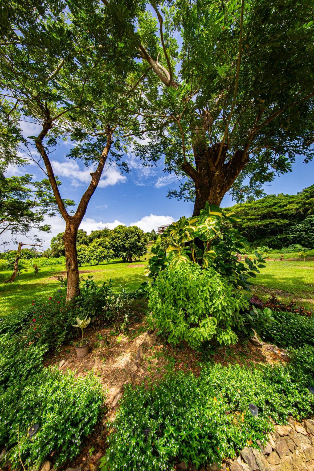 Maui Creek Bure'S Tiny Home By The Creek! Tangangge Exterior photo